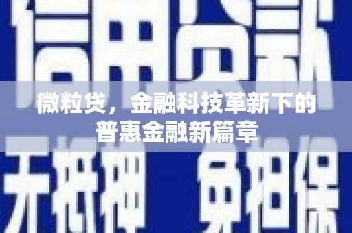 康保微粒贷，金融科技革新下的普惠金融新篇章