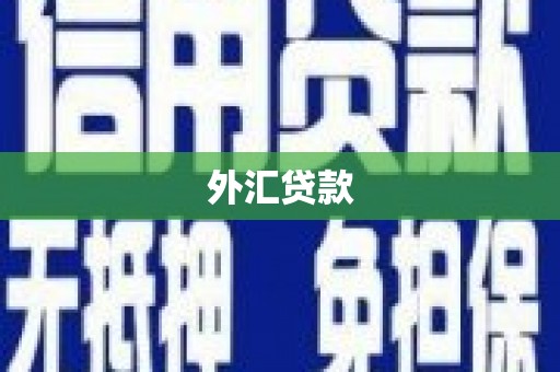 康保外汇贷款