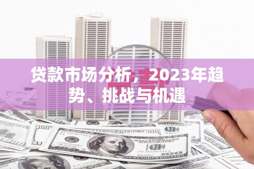 康保贷款市场分析，2023年趋势、挑战与机遇