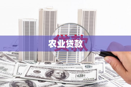 康保农业贷款
