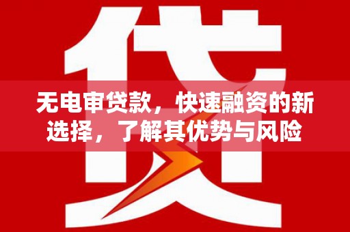 康保无电审贷款，快速融资的新选择，了解其优势与风险