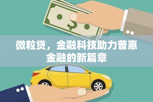 康保微粒贷，金融科技助力普惠金融的新篇章