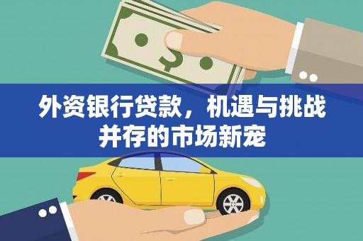 康保外资银行贷款，机遇与挑战并存的市场新宠