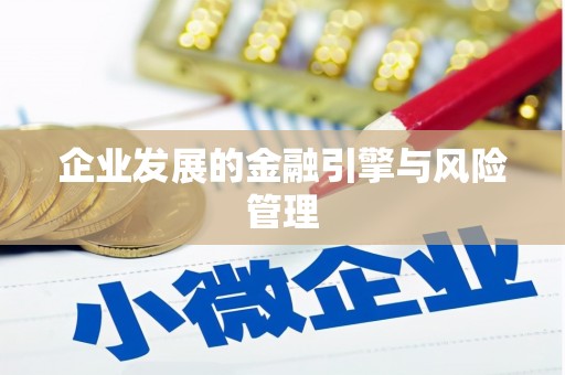 康保企业发展的金融引擎与风险管理