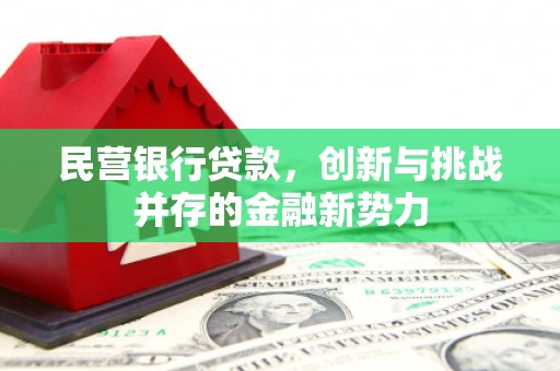 康保民营银行贷款，创新与挑战并存的金融新势力