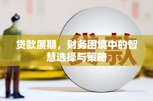 康保贷款展期，财务困境中的智慧选择与策略