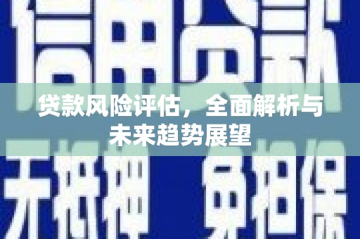 康保贷款风险评估，全面解析与未来趋势展望