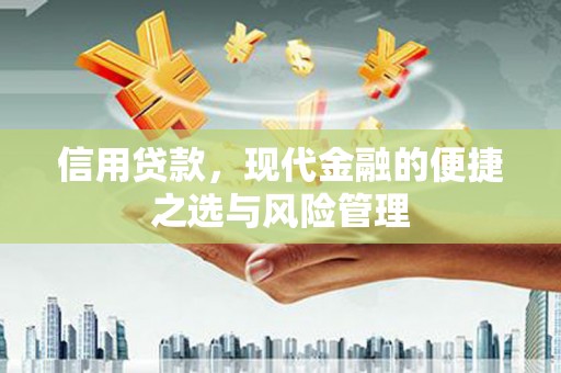 康保信用贷款，现代金融的便捷之选与风险管理