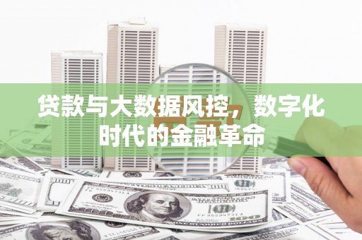 康保贷款与大数据风控，数字化时代的金融革命