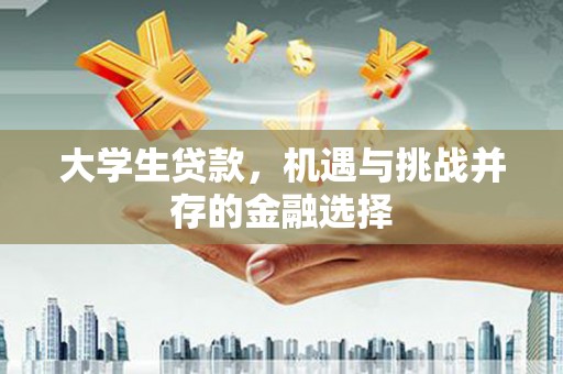 康保大学生贷款，机遇与挑战并存的金融选择