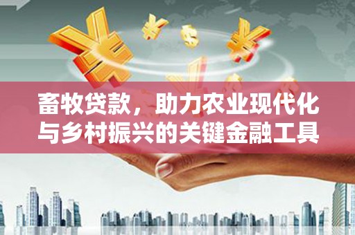 康保畜牧贷款，助力农业现代化与乡村振兴的关键金融工具