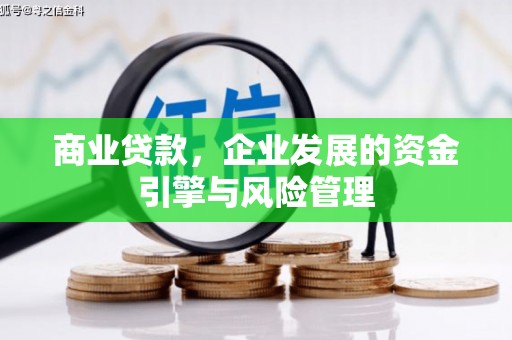 康保商业贷款，企业发展的资金引擎与风险管理