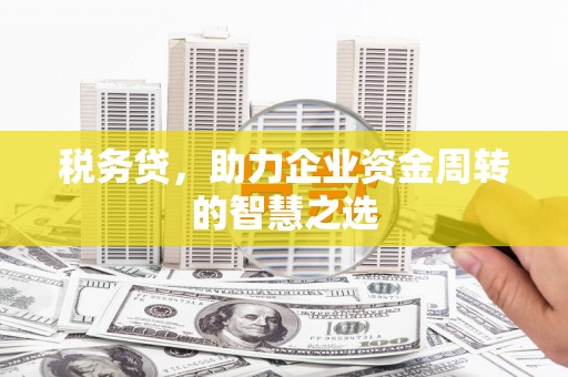 康保税务贷，助力企业资金周转的智慧之选