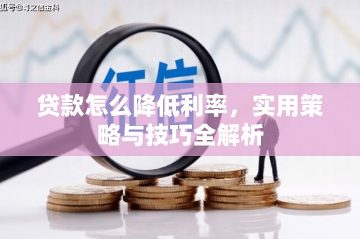 康保贷款怎么降低利率，实用策略与技巧全解析