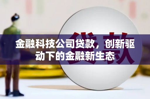康保金融科技公司贷款，创新驱动下的金融新生态