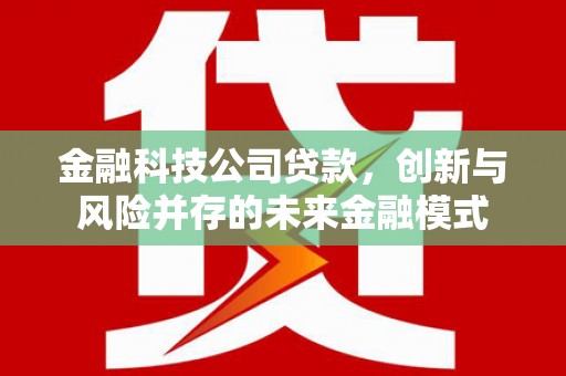 康保金融科技公司贷款，创新与风险并存的未来金融模式