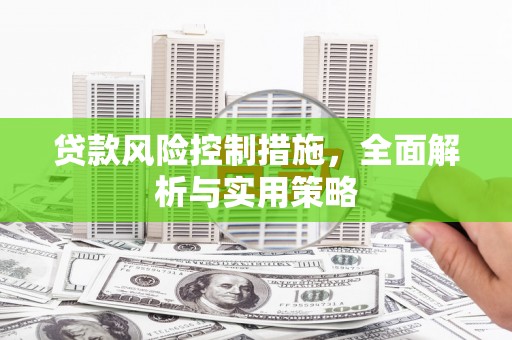 康保贷款风险控制措施，全面解析与实用策略