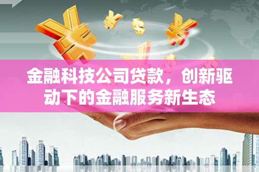 康保金融科技公司贷款，创新驱动下的金融服务新生态
