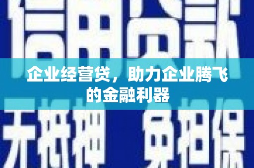 康保企业经营贷，助力企业腾飞的金融利器