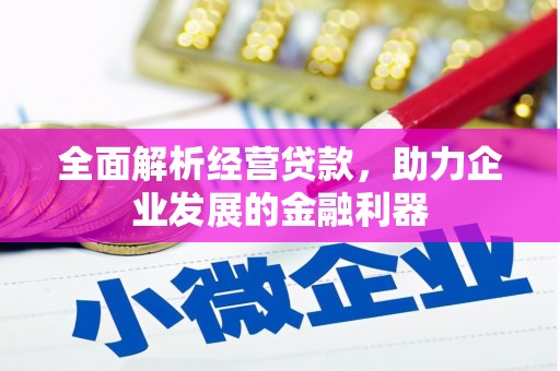 康保全面解析经营贷款，助力企业发展的金融利器