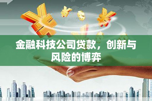 康保金融科技公司贷款，创新与风险的博弈