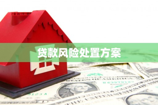 康保贷款风险处置方案