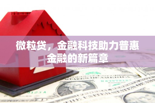 康保微粒贷，金融科技助力普惠金融的新篇章