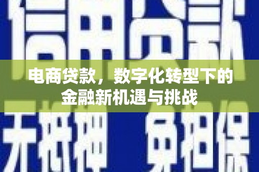 康保电商贷款，数字化转型下的金融新机遇与挑战