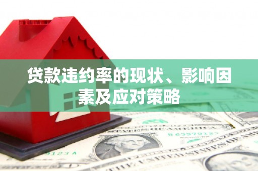 康保贷款违约率的现状、影响因素及应对策略