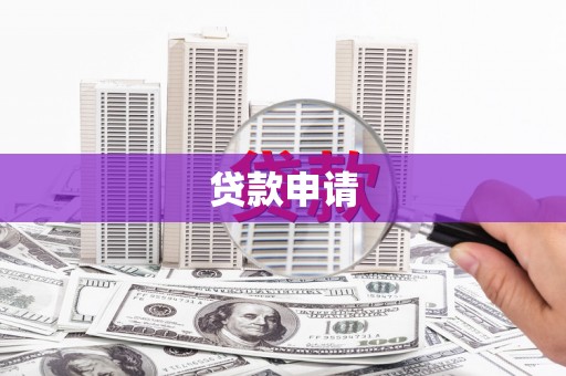 康保贷款申请