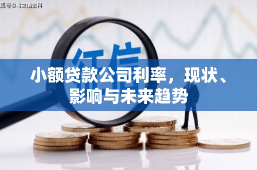 康保小额贷款公司利率，现状、影响与未来趋势