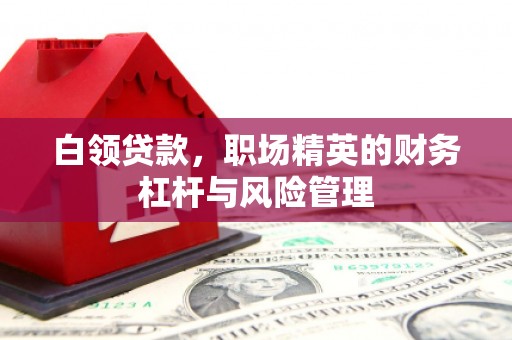 康保白领贷款，职场精英的财务杠杆与风险管理