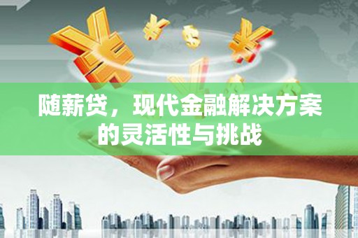 康保随薪贷，现代金融解决方案的灵活性与挑战