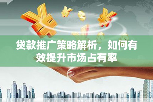 康保贷款推广策略解析，如何有效提升市场占有率