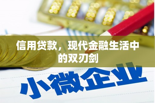 康保信用贷款，现代金融生活中的双刃剑
