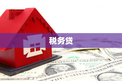 康保税务贷