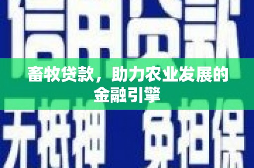 康保畜牧贷款，助力农业发展的金融引擎