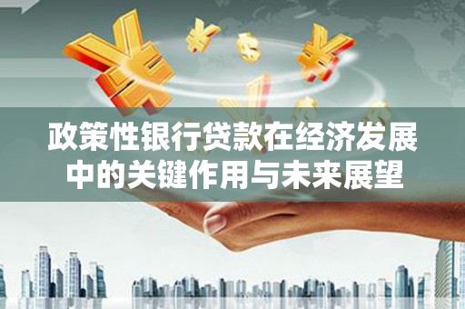 康保政策性银行贷款在经济发展中的关键作用与未来展望