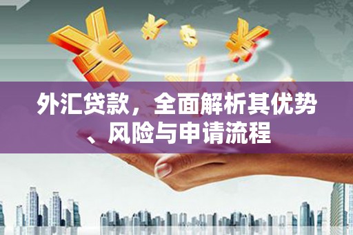 康保外汇贷款，全面解析其优势、风险与申请流程