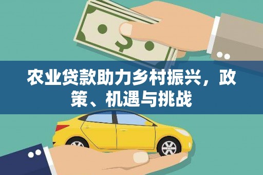 康保农业贷款助力乡村振兴，政策、机遇与挑战