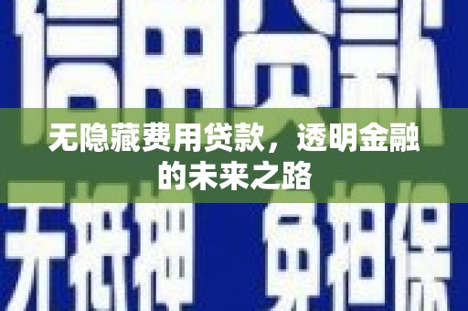 康保无隐藏费用贷款，透明金融的未来之路