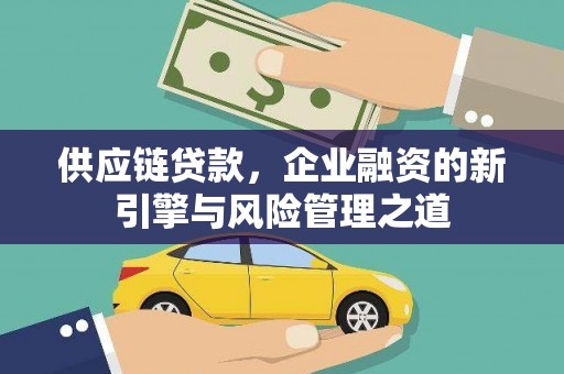 康保供应链贷款，企业融资的新引擎与风险管理之道