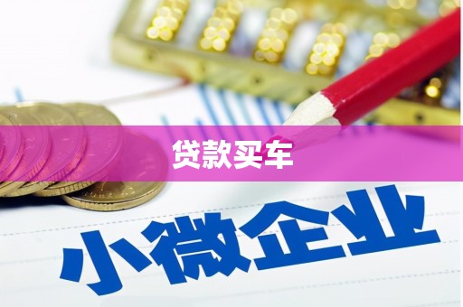 康保贷款买车