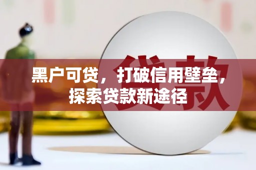 康保黑户可贷，打破信用壁垒，探索贷款新途径