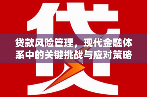 康保贷款风险管理，现代金融体系中的关键挑战与应对策略
