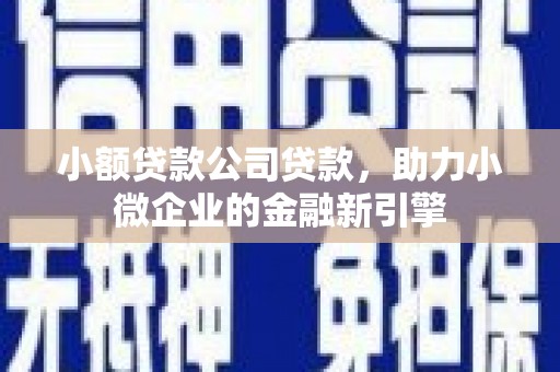 康保小额贷款公司贷款，助力小微企业的金融新引擎