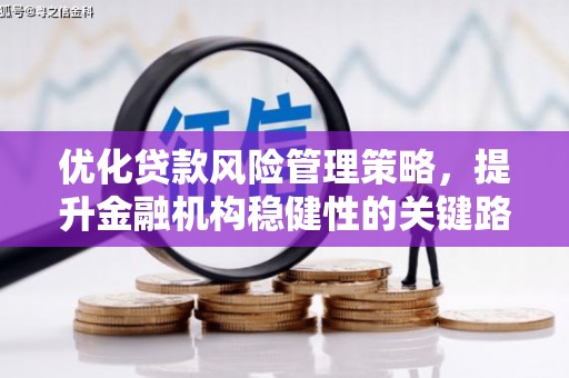 康保优化贷款风险管理策略，提升金融机构稳健性的关键路径