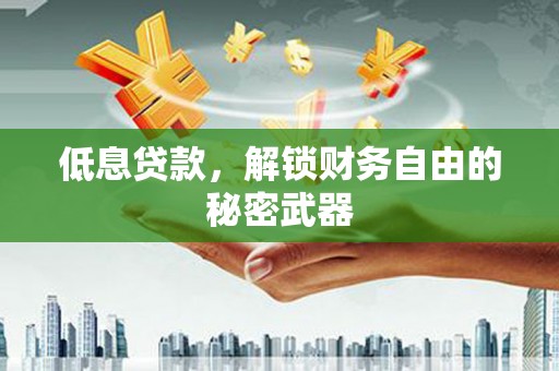 康保低息贷款，解锁财务自由的秘密武器