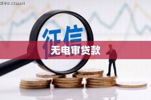 康保无电审贷款