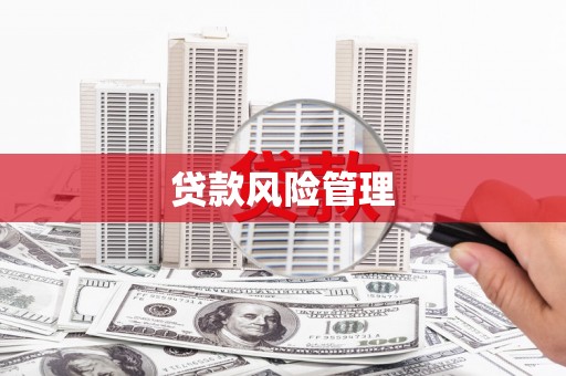 康保贷款风险管理